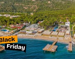 AYDINBEY SIU COLLECTION